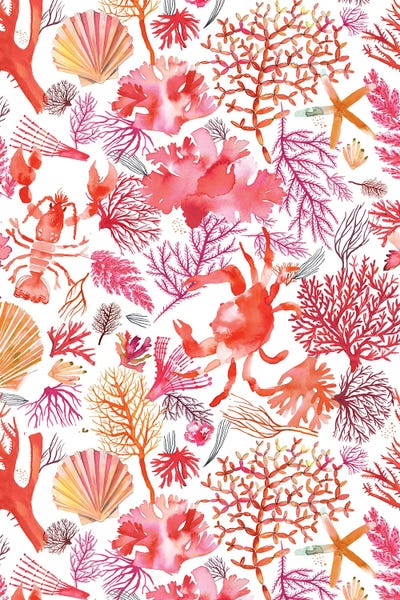 Coral: Corals Reef Crab Orange by Ninola Design