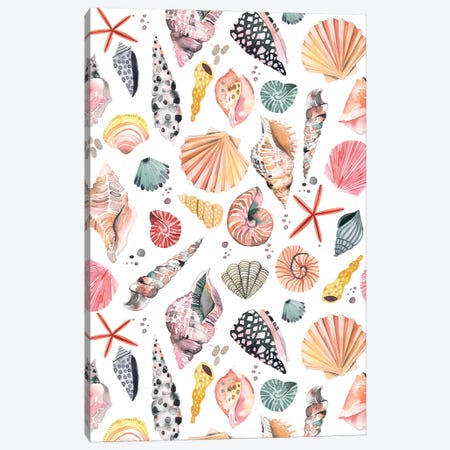 Sea Shells Marine Sand Canvas Print #NDE372} by Ninola Design Canvas Print