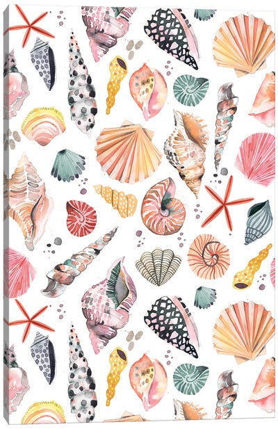 Sea Shells Marine Sand Canvas Art Print - Starfish Art