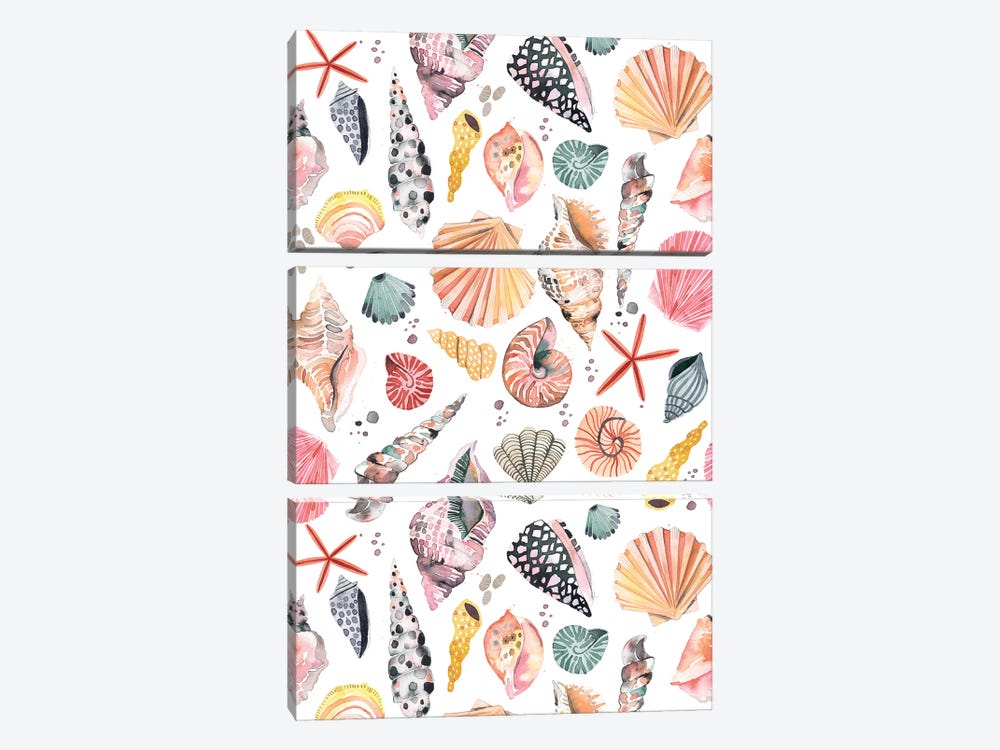 Sea Shells Marine Sand by Ninola Design 3-piece Art Print