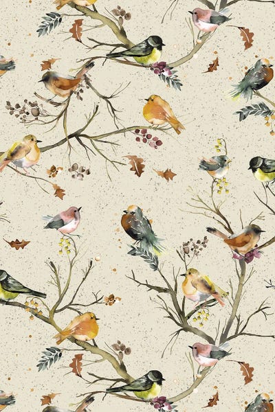 Forest Birds In Trees