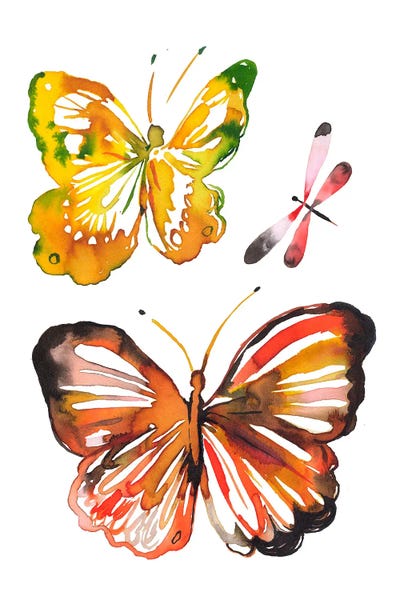 Ninola Design: Butterfly Dragonfly by Ninola Design