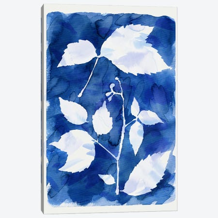 Cyanotype Botanical I Canvas Print #NDE436} by Ninola Design Canvas Print