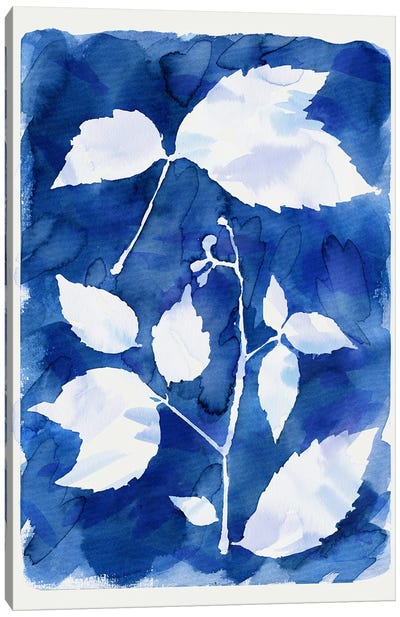 Cyanotype Botanical I Canvas Art Print - Ninola Design