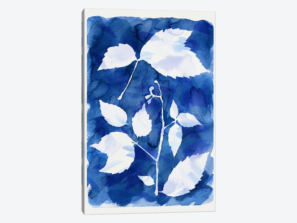 Cyanotype Botanical I by Ninola Design 1-piece Canvas Artwork