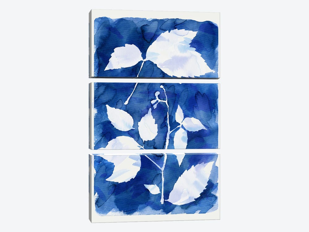 Cyanotype Botanical I by Ninola Design 3-piece Canvas Artwork