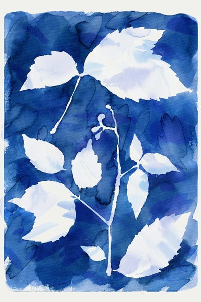 Ninola Design: Cyanotype Botanical I by Ninola Design