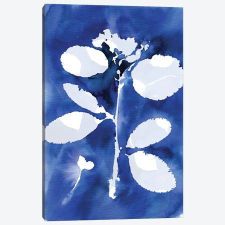 Cyanotype Botanical II Canvas Print #NDE437} by Ninola Design Canvas Art Print