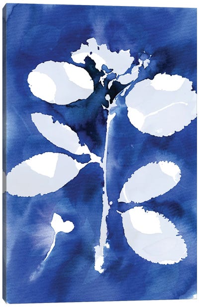 Cyanotype Botanical II Canvas Art Print - Ninola Design