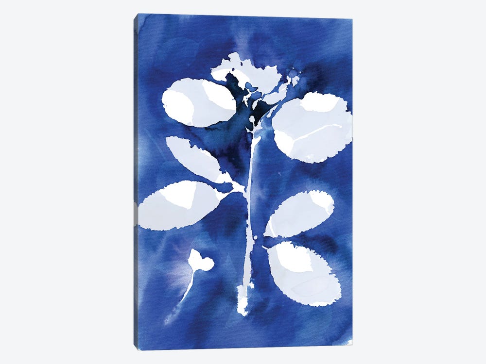 Cyanotype Botanical II by Ninola Design 1-piece Canvas Print