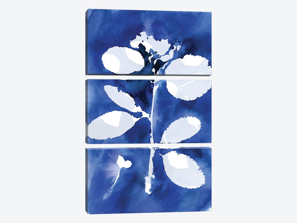 Cyanotype Botanical II by Ninola Design 3-piece Canvas Art Print