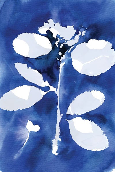 Ninola Design: Cyanotype Botanical II by Ninola Design