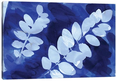 Cyanotype Botanical III Canvas Art Print - Ninola Design