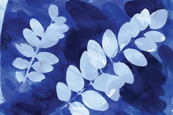 Ninola Design: Cyanotype Botanical III by Ninola Design