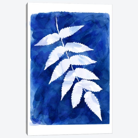 Cyanotype Botanical IV Canvas Print #NDE439} by Ninola Design Canvas Artwork