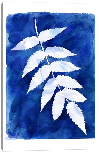 Cyanotype Botanical IV Canvas Art Print - Ninola Design