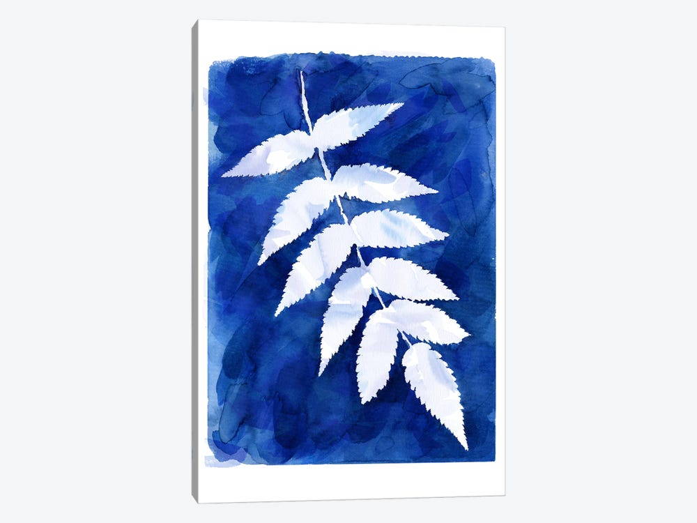 Cyanotype Botanical IV by Ninola Design 1-piece Canvas Art Print