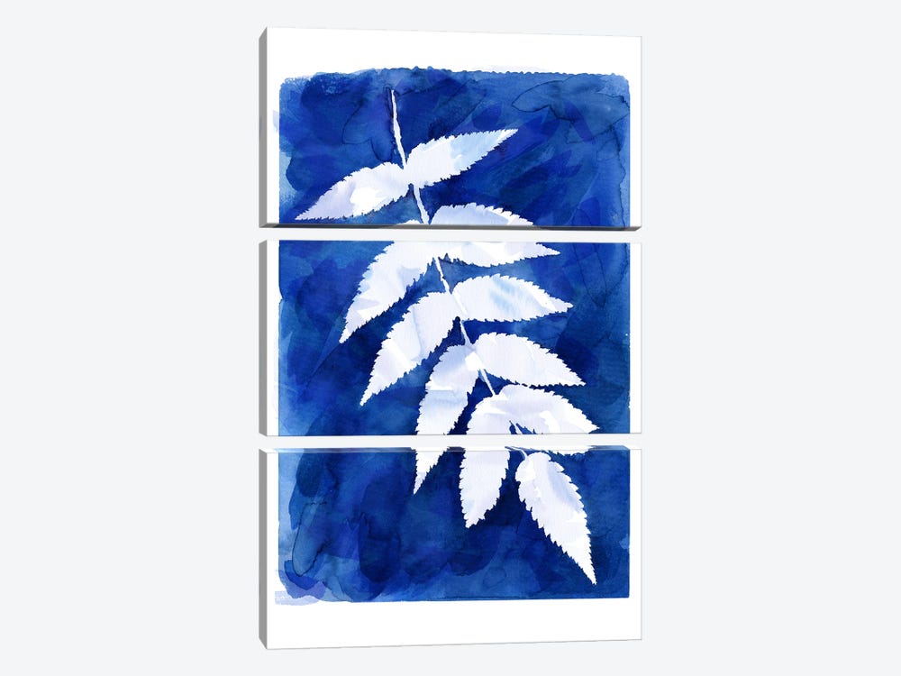 Cyanotype Botanical IV by Ninola Design 3-piece Canvas Print