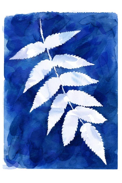 Ninola Design: Cyanotype Botanical IV by Ninola Design
