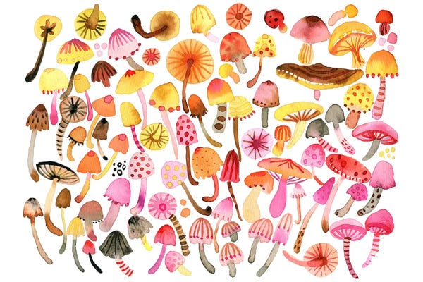 Ninola Design: Forest Mushrooms by Ninola Design