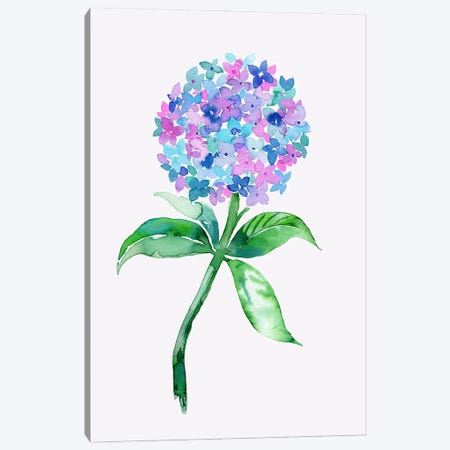 Watercolor Hydrangea Flower Canvas Print #NDE448} by Ninola Design Art Print