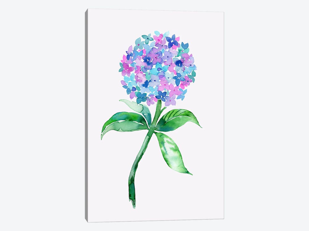 Watercolor Hydrangea Flower by Ninola Design 1-piece Canvas Art Print