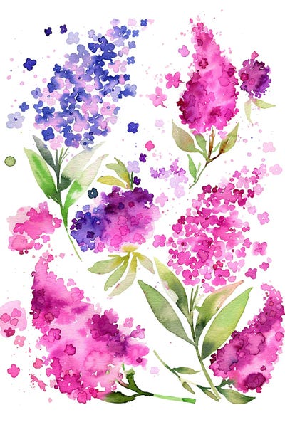 Watercolor Hydrangeas And Lilacs by Ninola Design framed canvas print