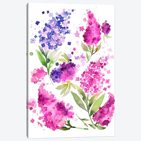 Watercolor Hydrangeas And Lilacs Canvas Print #NDE449} by Ninola Design Canvas Print