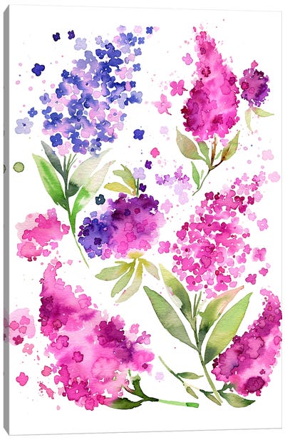 Watercolor Hydrangeas And Lilacs Canvas Art Print - Ninola Design