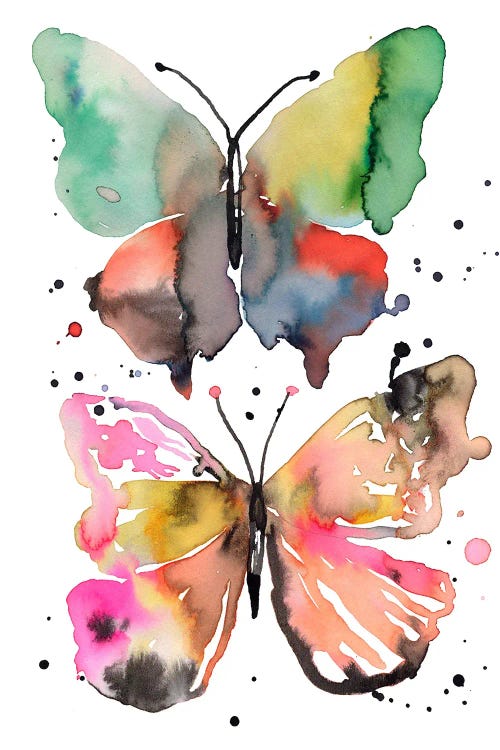 Watercolor Ink Artistic Butterflies by Ninola Design  wall art