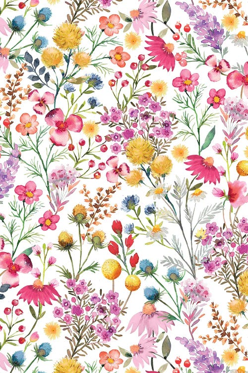 Whimsical Wild Botanical Cottage Flowers by Ninola Design wall art