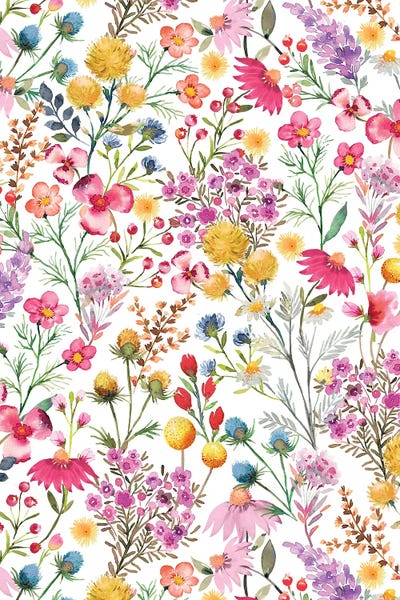 Ninola Design: Whimsical Wild Botanical Cottage Flowers by Ninola Design