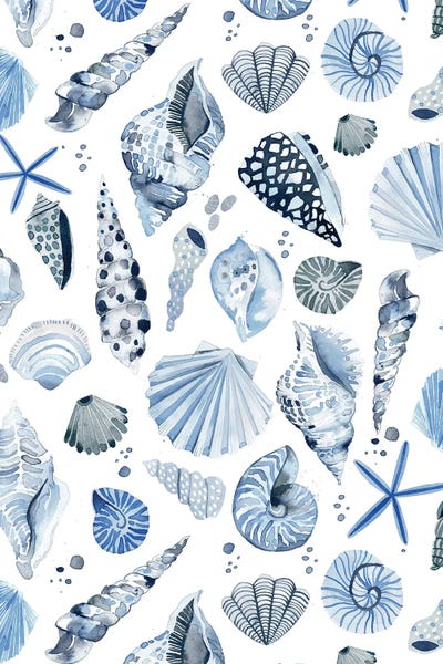 Sea Shells: Sea Shells Marine Coastal Blue by Ninola Design