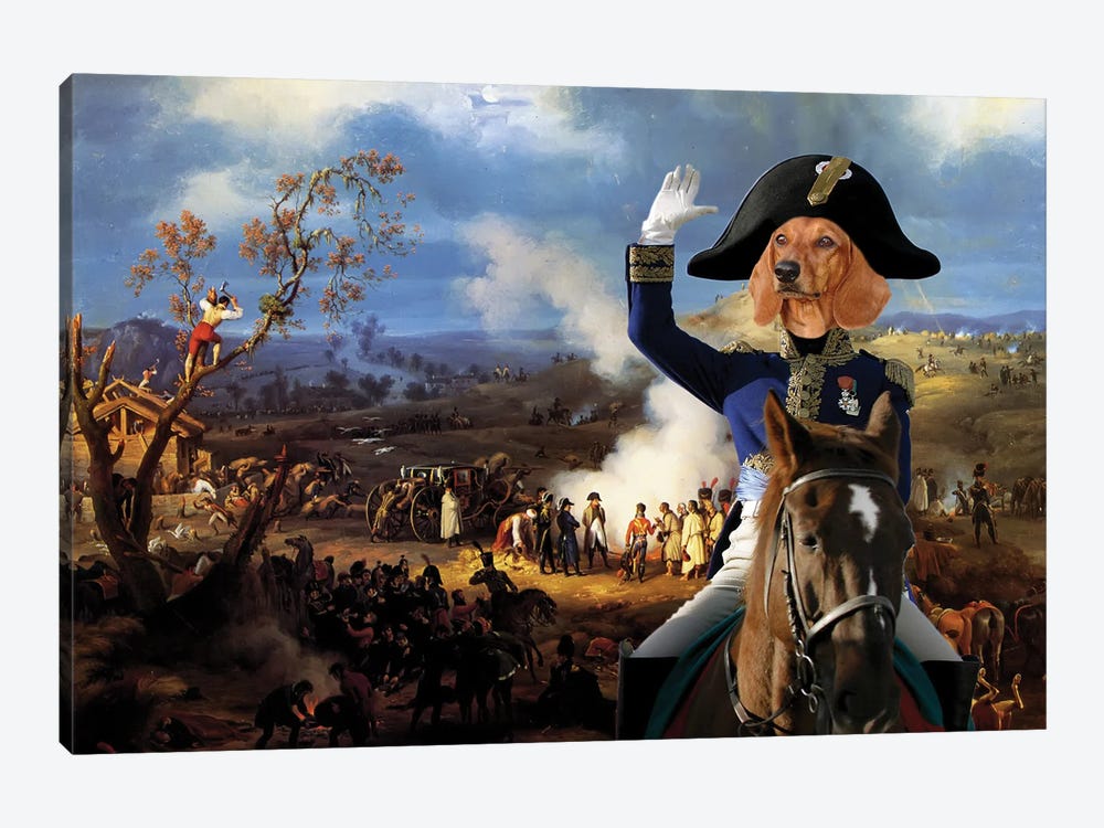 Dachshund Napoleon by Nobility Dogs 1-piece Canvas Print