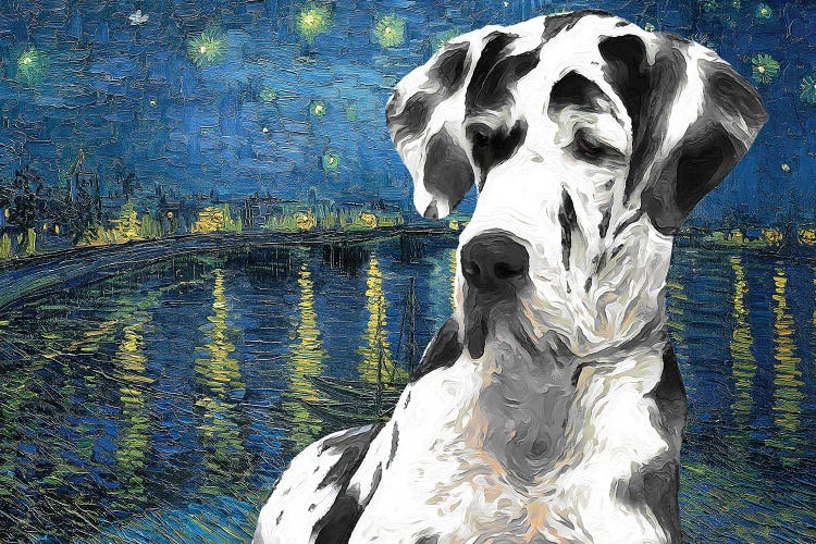 Great Dane Starry Night Over The Rhone