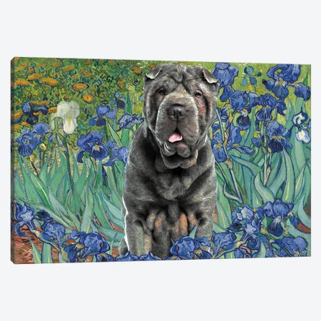 Shar Pei Irises Canvas Print #NDG101} by Nobility Dogs Canvas Print