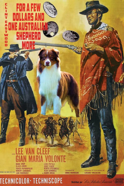 Australian Shepherd For A Few Dollars More