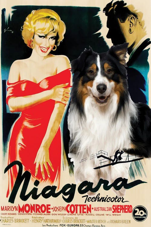 Australian Shepherd Niagara Movie