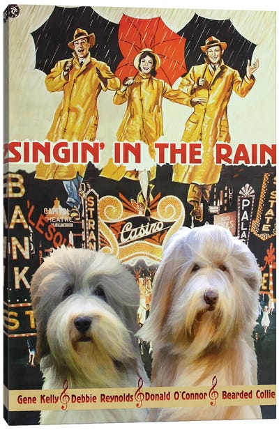 Bearded Collie Singin In The Rain Canvas Art Print - Musical Movie Art