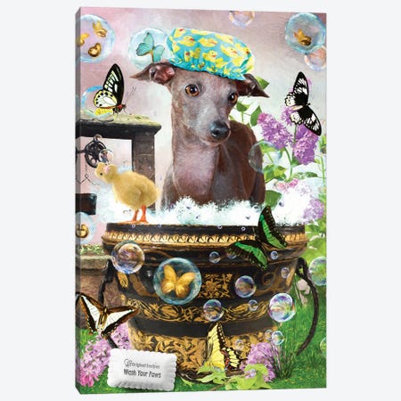 Italian Greyhound Wash Your Paws Canvas Print #NDG102} by Nobility Dogs Art Print