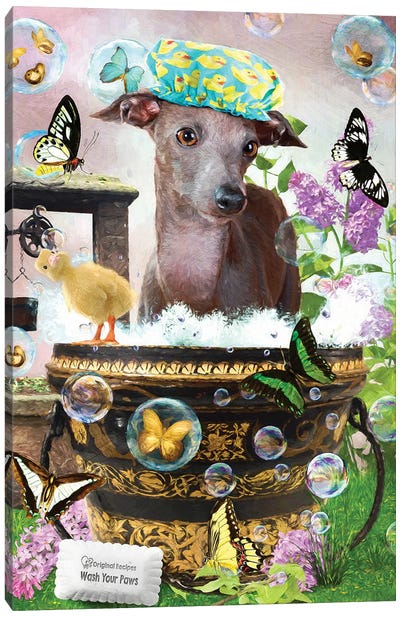 Italian Greyhound Wash Your Paws Canvas Art Print - Italian Greyhound Art