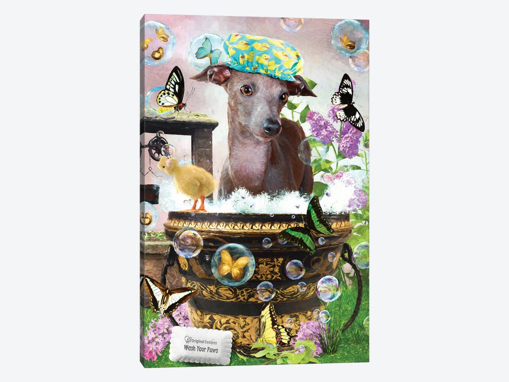 Italian Greyhound Wash Your Paws by Nobility Dogs 1-piece Art Print