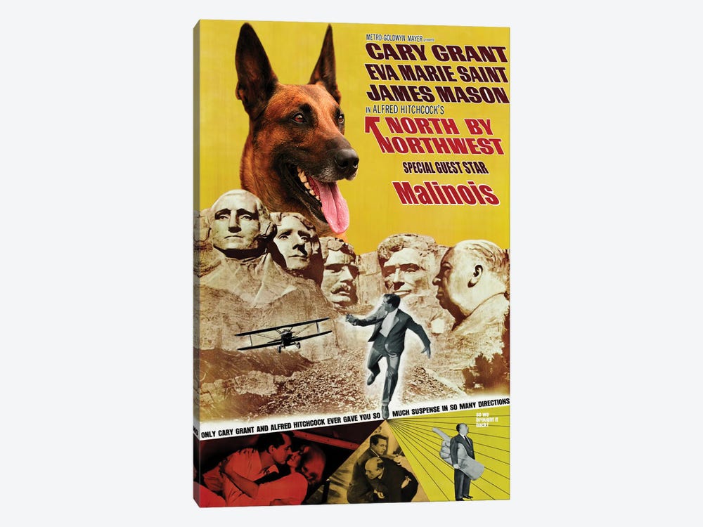 Belgian Malinois North By Northwest by Nobility Dogs 1-piece Art Print