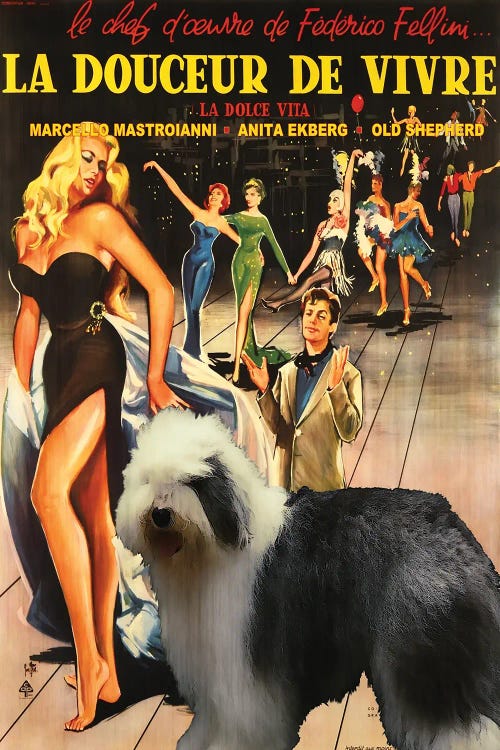 Old English Sheepdog La Dolce Vita