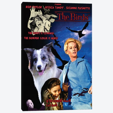 Border Collie The Birds Movie Canvas Print #NDG1045} by Nobility Dogs Canvas Wall Art