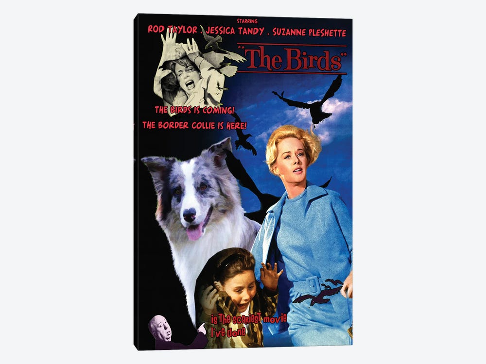 Border Collie The Birds Movie by Nobility Dogs 1-piece Canvas Artwork
