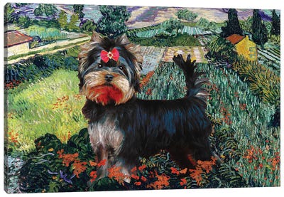 Yorkshire Terrier Field With Poppies Canvas Art Print - Yorkshire Terrier Art