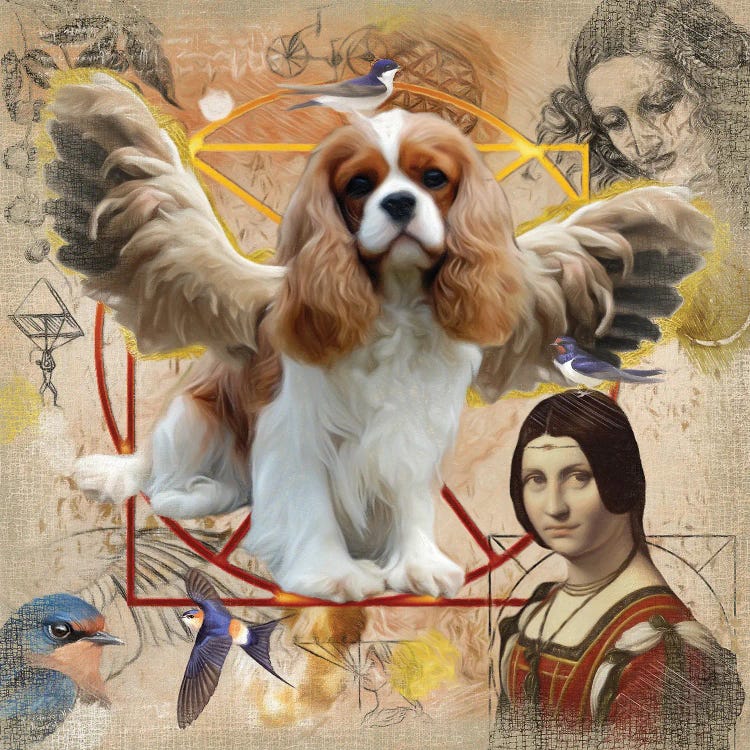 Cavalier King Charles Spaniel Angel Da Vinci