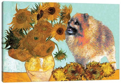 Pomeranian Sunflowers Canvas Art Print - All Things Van Gogh