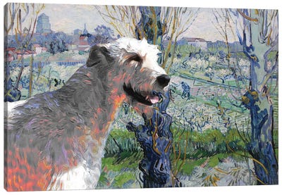 Irish Wolfhound Orchard In Blossom Canvas Art Print
